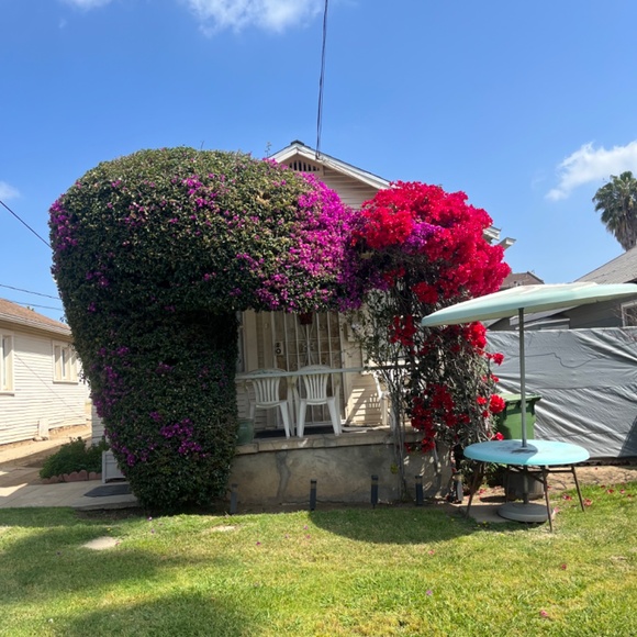 Vintage Metallic Tank Top in Large - Picture 6 of 12